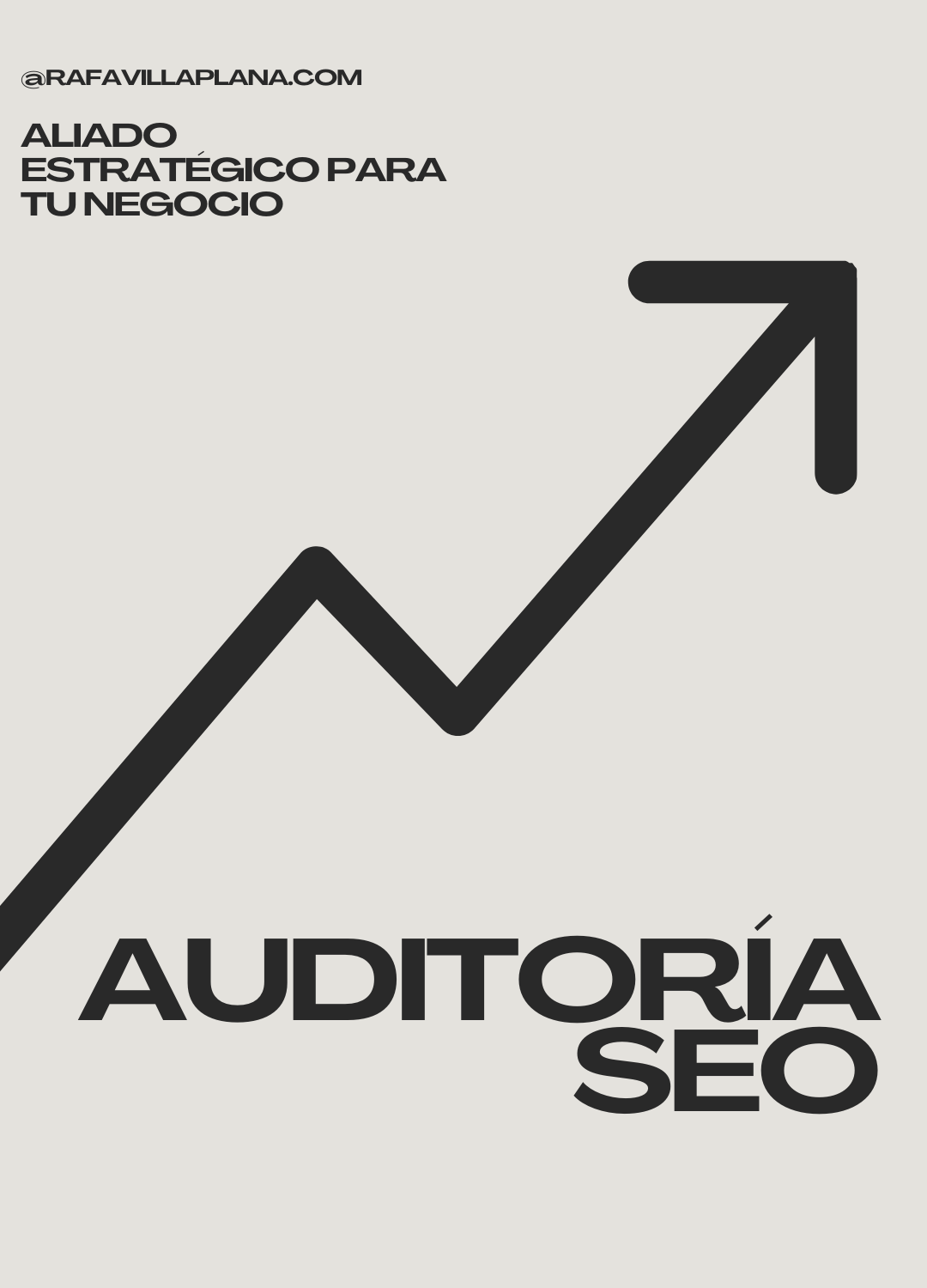 Servicio Auditoría SEO